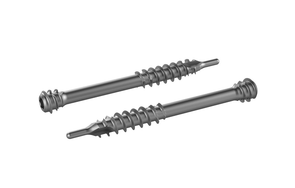 Jones Screw implant system