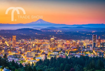 Aerial view of city in Oregon at sunset