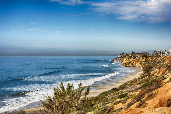 Beach with palm trees